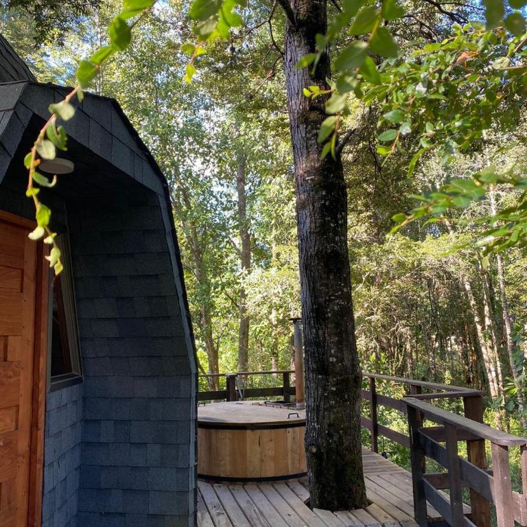 Hermoso domo en altura entre el bosque nativo + tinaja privada - Apartment - 11