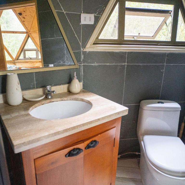 Hermoso domo en altura entre el bosque nativo + tinaja privada - Apartment - 20
