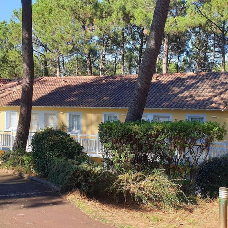Bienvenue à l'Appart' ! - Appartement 1 Chambre - 24