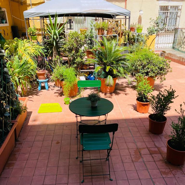 Napoli Centro Casa Vacanza - Appartamento - 5