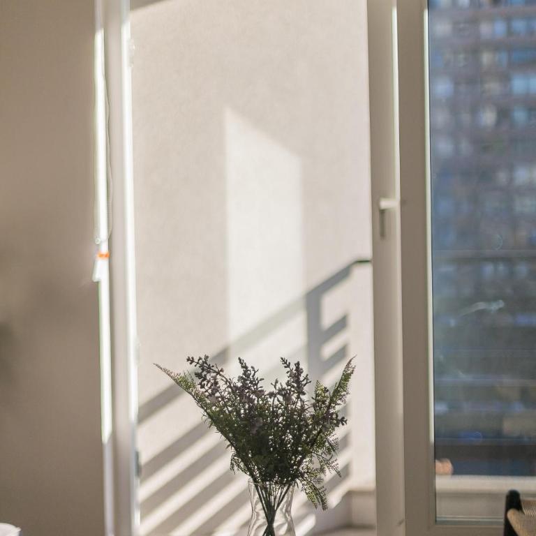 Vive una experiencia de calidad en Santiago - Apartamento - 4