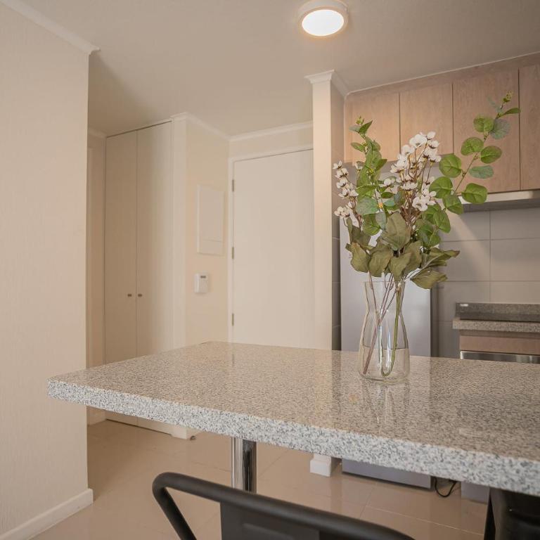 Vive una experiencia de calidad en Santiago - Apartamento - 27