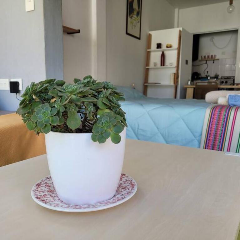 Luminoso Estudio con Balcón abierto en Palermo - Apartamento de 1 dormitorio - 6