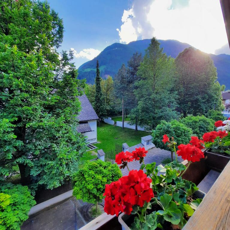 Tondler Appartement - Appartamento con 1 Camera da Letto - 11