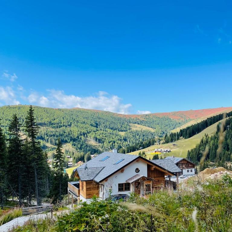 Sonnberg Chalet - Entspannung pur im Luxus Chalet mit Whirlpool-Sauna - Four-Bedroom House - 20