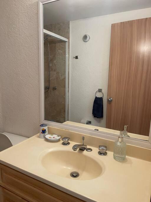 Espectacular departamento a pasos de costera - Apartamento de 3 dormitorios - 16
