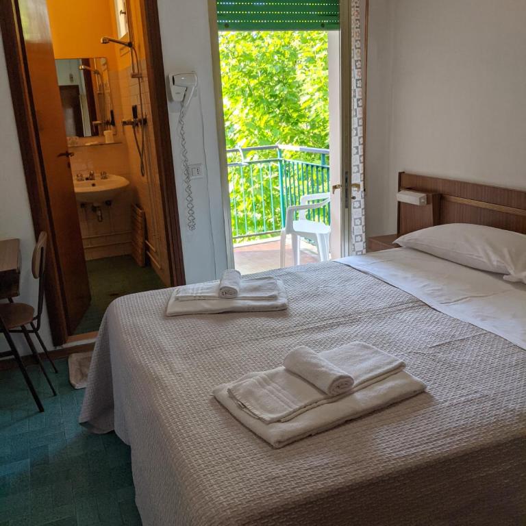 Hotel Bellevue - Camera Matrimoniale con Bagno Privato - 3