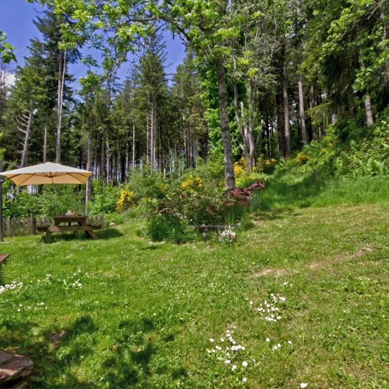 Gîte confortable avec vue imprenable près de Saint-Étienne - FR-1-496-38 - Maison de Vacances (4 Adultes) - 17