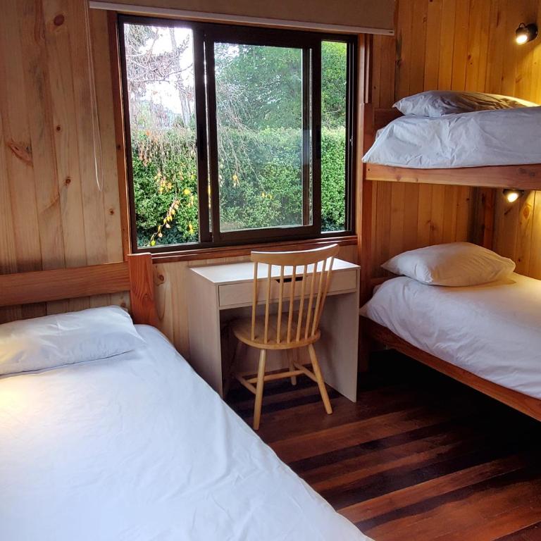 Lucky's Hostel - Single Bed in Female Dormitory Room - 2