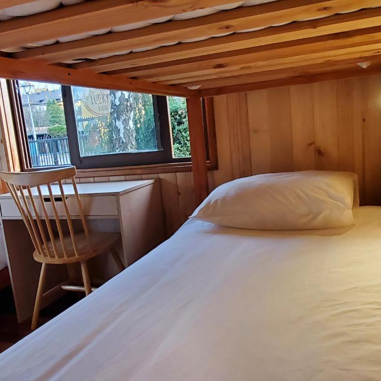 Lucky's Hostel - Single Bed in Female Dormitory Room - 4