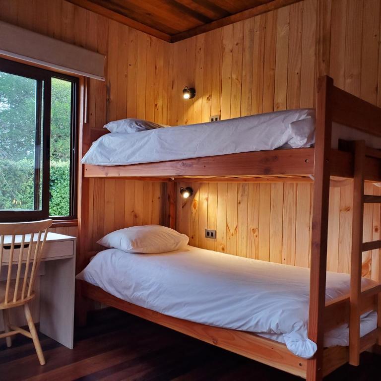Lucky's Hostel - Single Bed in Female Dormitory Room - 11