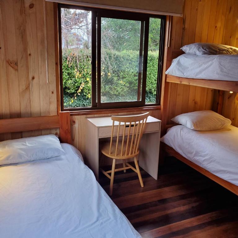 Lucky's Hostel - Single Bed in Female Dormitory Room - 12