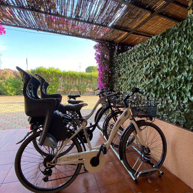Centro e Cinta beach free bikes - Appartamento con 3 Camere da Letto - 17