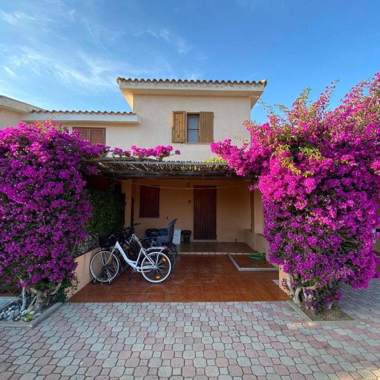 Centro e Cinta beach free bikes - Appartamento con 3 Camere da Letto - 1
