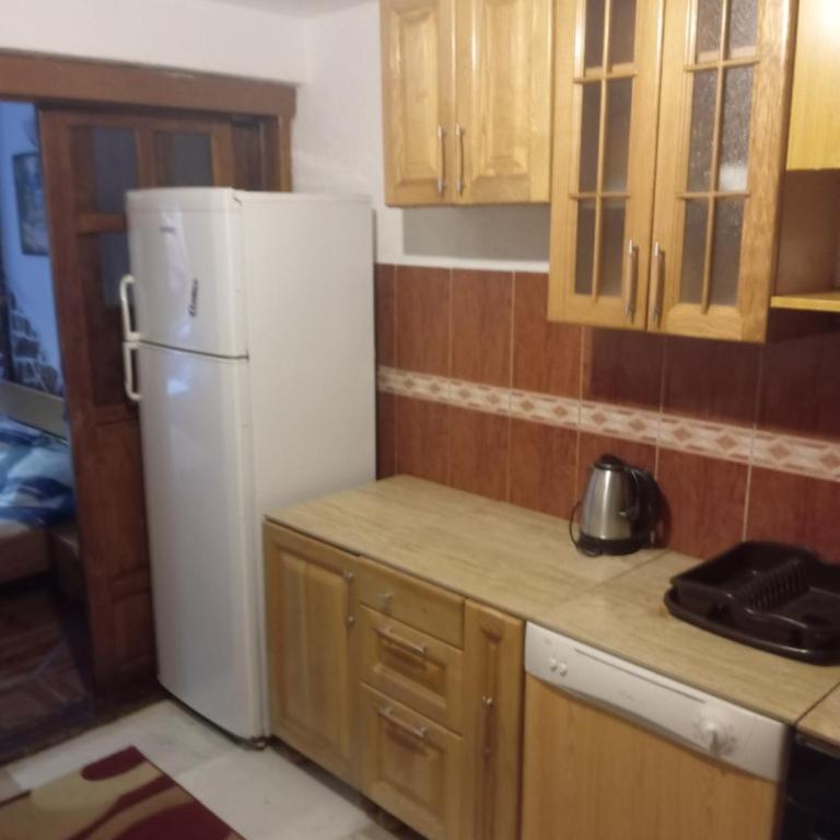 Apartman Studio Nedović - Apartman - Prizemlje - 19