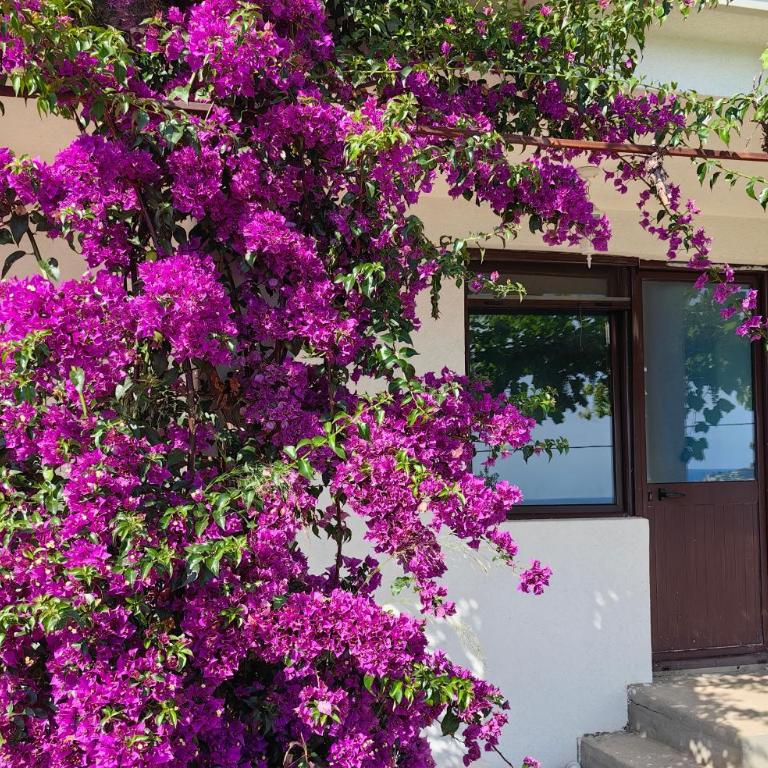 Villa ASTROLOGY - Two-Bedroom Apartment with Balcony and Sea View - 8