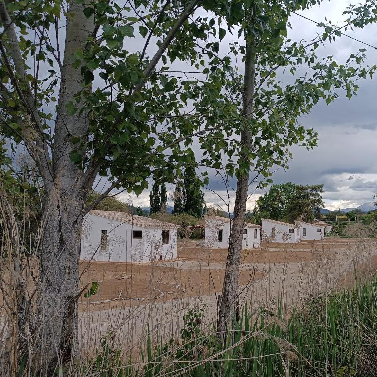 Casas Natura Suites - Finca Rural - Queen Suite with Spa Bath - 23