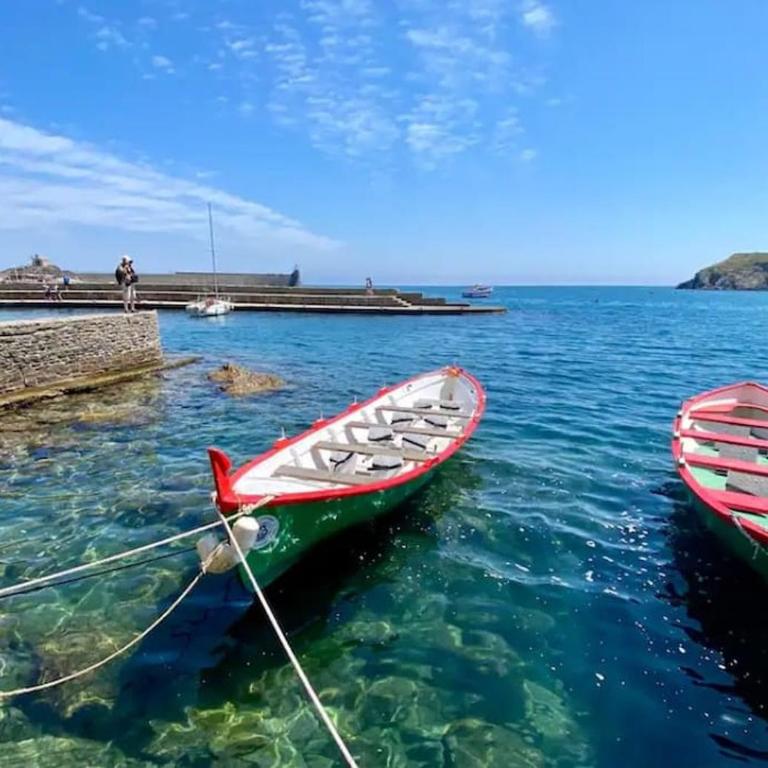 Collioure Fisherman's House Apartment with Garden - Appartamento con 2 Camere da Letto - 1