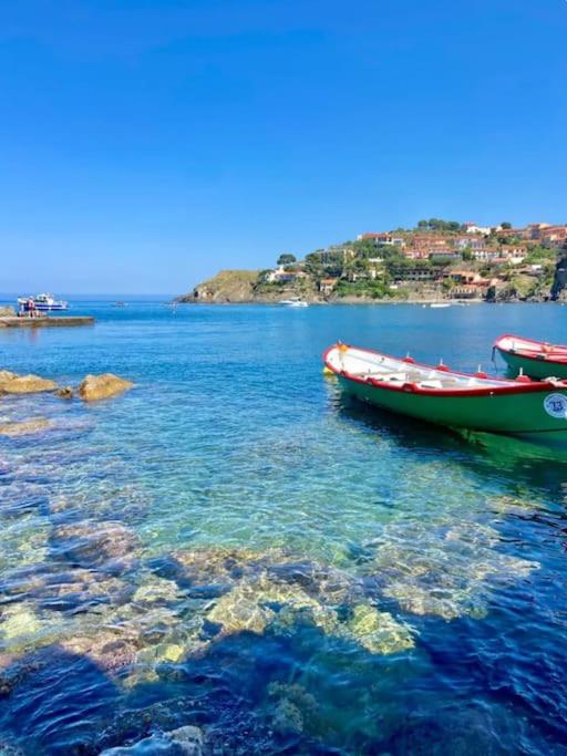 Collioure Fisherman's House Apartment with Garden - Appartamento con 2 Camere da Letto - 9