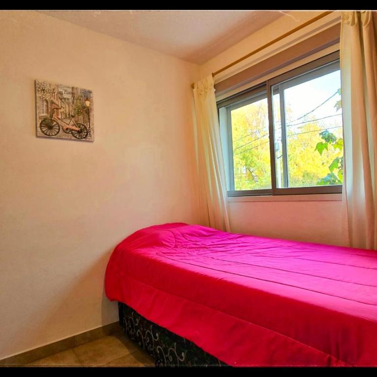 Centro x 6 - Apartamento de 3 dormitorios - 23