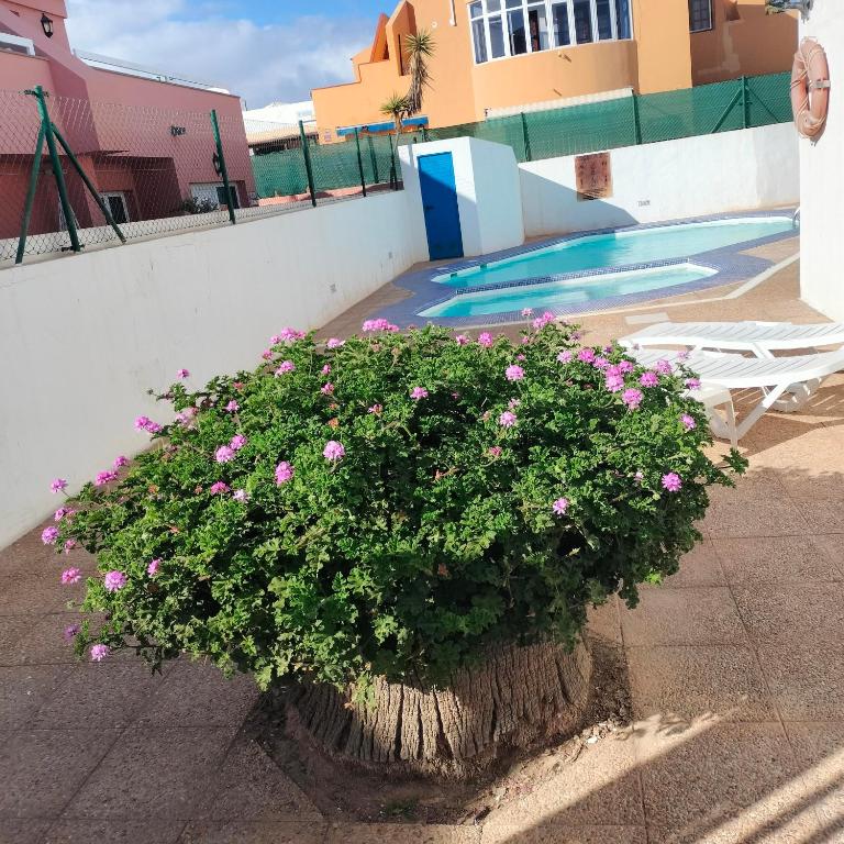 vivienda vacacional Alipatri - Two-Bedroom Apartment - 16