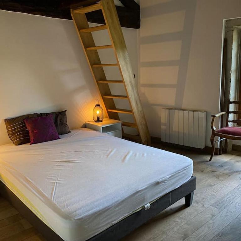 Château Frontonas gîte ferme - Maison 4 Chambres - 8