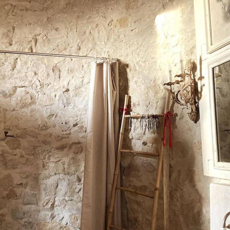 Château Frontonas gîte ferme - Maison 4 Chambres - 12