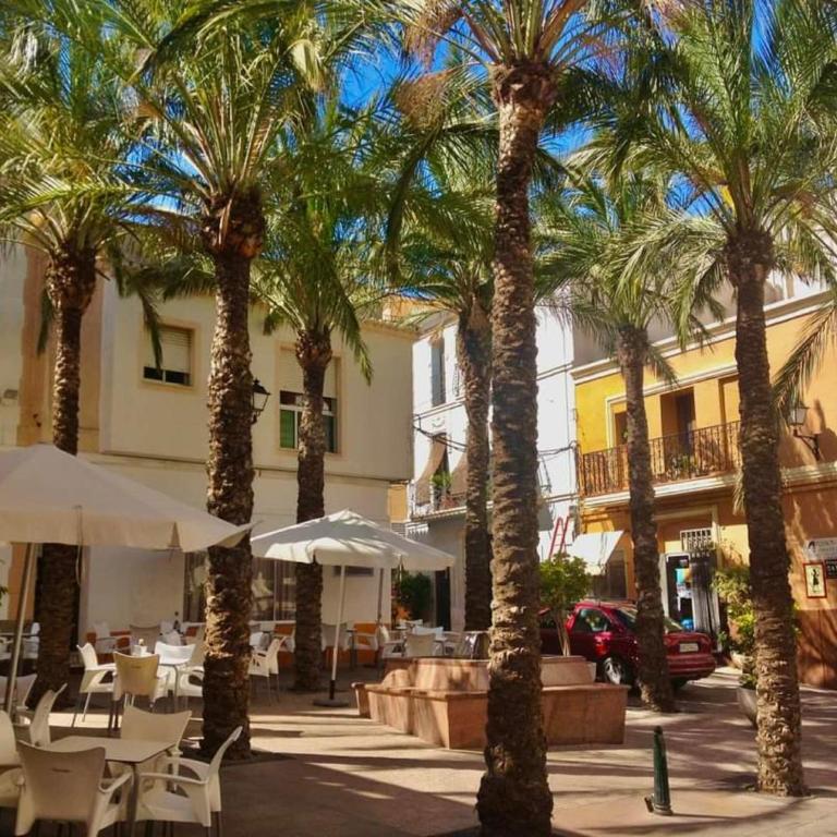 Piso soleado en Apolo VII - Apartamento de 1 dormitorio con vistas a la ciudad - 33