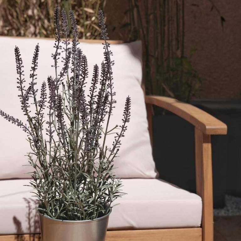 Studio rénové avec belle terrasse - Estudio con terraza - 3