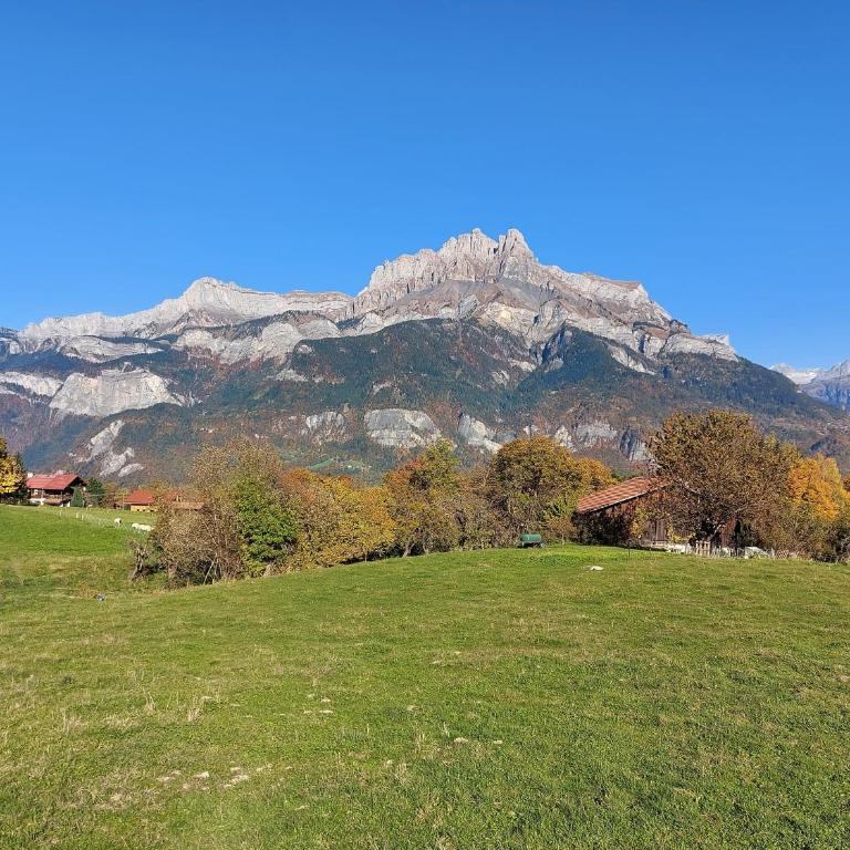 Les Balcons du Mont-Blanc : Appartement centre village - Appartement - 13