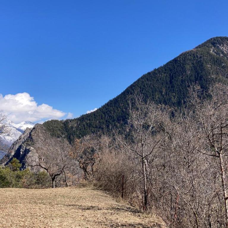 Ô Bercail Gîte de basse montagne 7' de vercorin - Chalet - 8
