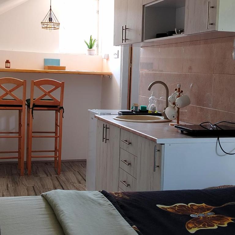 Apartman Boba Vrnjačka Banja - Apartman sa 1 Spavaćom Sobom - 1