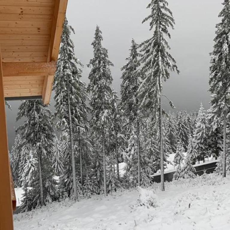 Chalet Theresa - Chalet mit 3 Schlafzimmern - 61