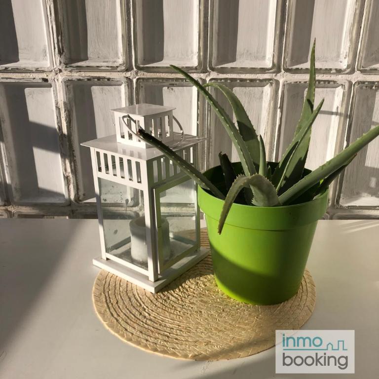 Hawai , clima, Pk privado y cerca de la playa - Two-Bedroom Apartment with Terrace - 14