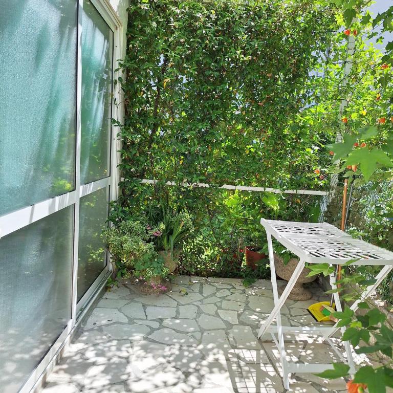 Apartmani Hortenzija - Apartman - 11