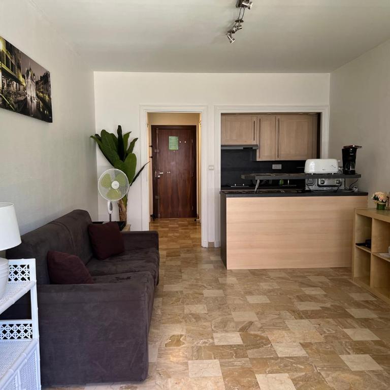Annecy centre-ville avec garage et loggia - Appartamento con Balcone - 8