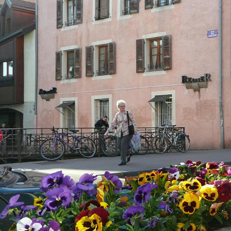 Annecy centre-ville avec garage et loggia - Appartamento con Balcone - 4