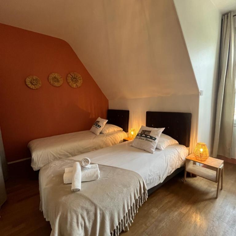 Entre Loire & Château - Vue exceptionnelle à Blois - Appartamento Standard - 39