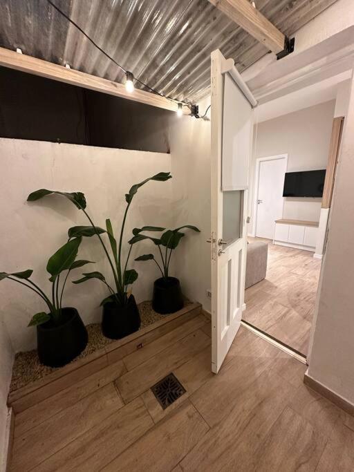 Loft Deluxe en Playa Varese - Apartamento de 1 dormitorio - 44