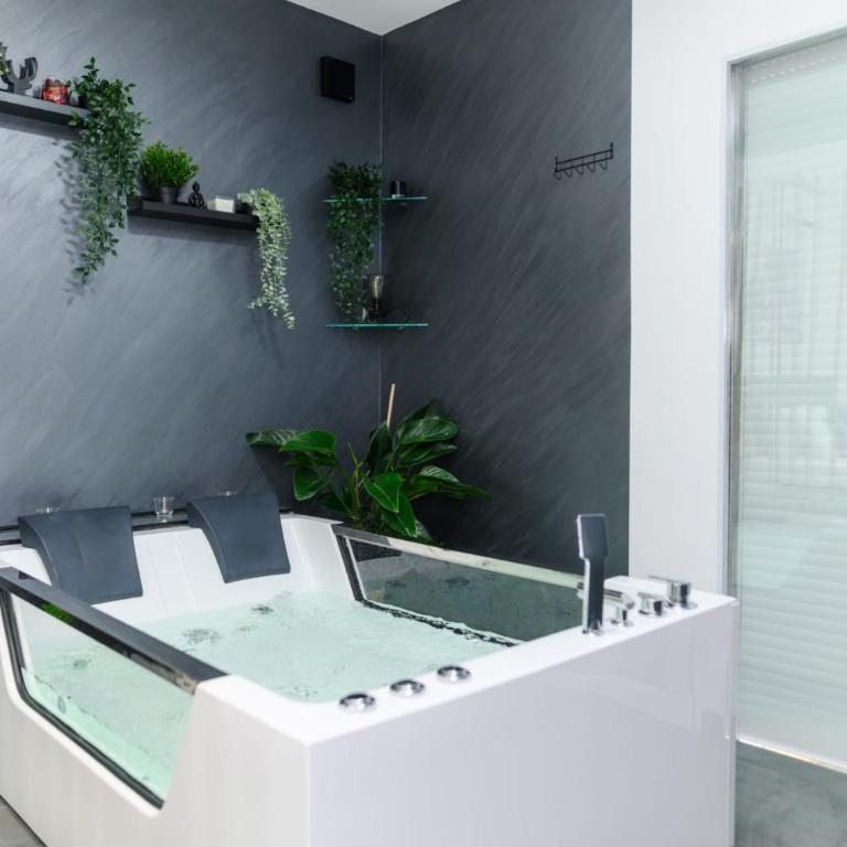 SPA apartman Tomin adults only - Apartman sa 1 Spavaćom Sobom - 1