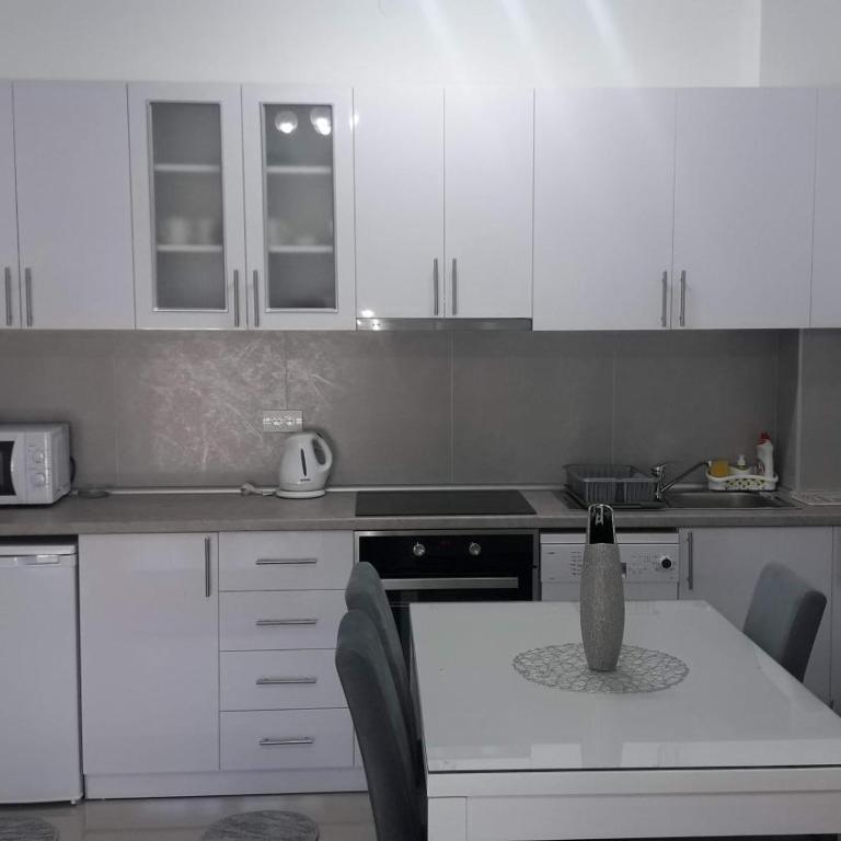 Apartman Vukosavljević - Apartman s 1 Spavaćom Sobom i Terasom - 17