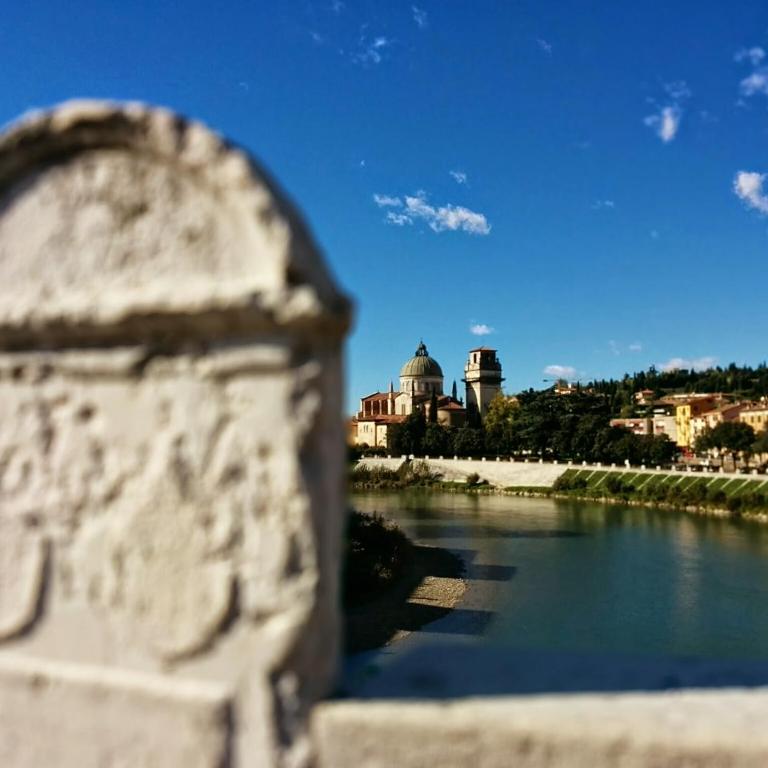 Across the River and Into the Trees - Appartamento con 1 Camera da Letto - 5