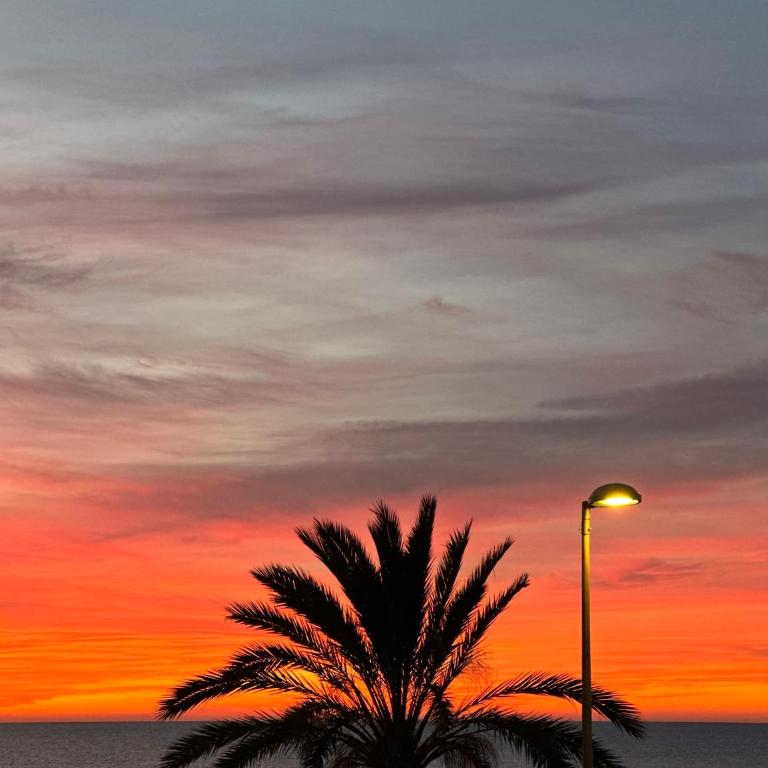 Estudio con Impresionantes Vistas al Mar - Estudio Superior - 22