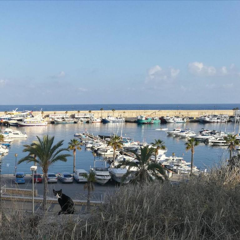 La Muralla - Two-Bedroom Apartment - 49