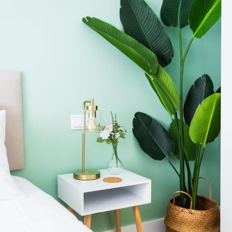 Nuevo apartamento entre 2 playas con garaje, terraza, wifi - Apartamento de 3 dormitorios - 19