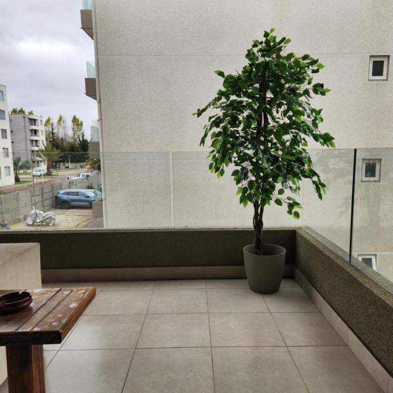 Arriendo departamento en La Serena Central - Apartamento de 1 dormitorio - 9