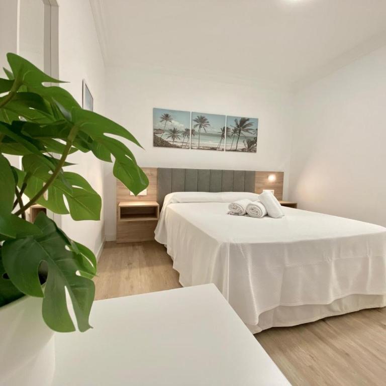 The Sun City Apartment - Apartamento de 3 dormitorios - 4