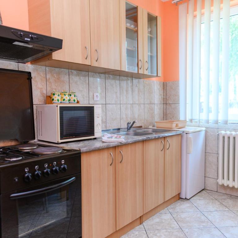 Smestaj STAI, u ulici Nikole Tesle 10, Sokobanja - Two-Bedroom Apartment with Mountain View - 10