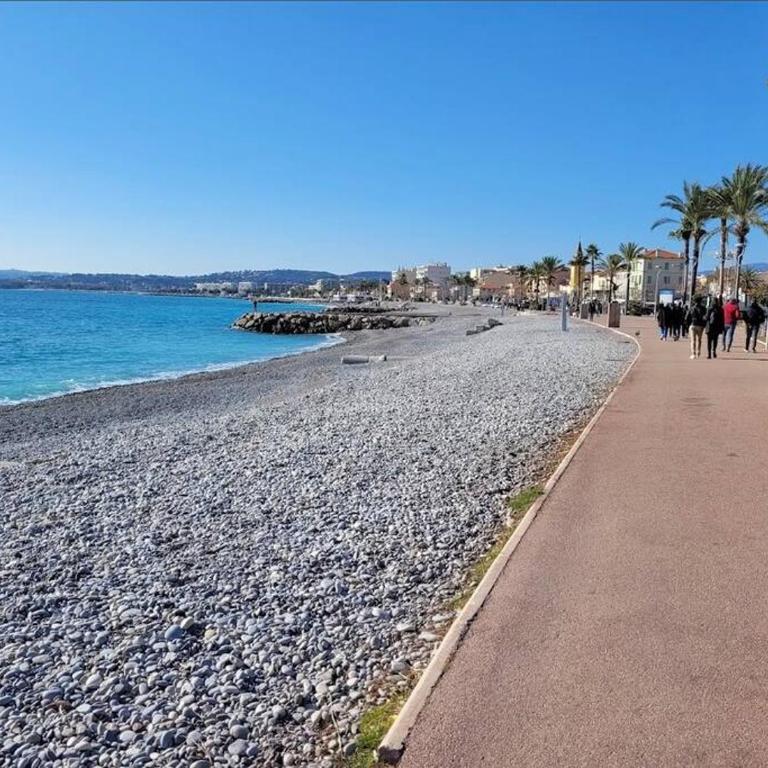 Studio cosy terrasse front mer - Appartement 1 Chambre - 12