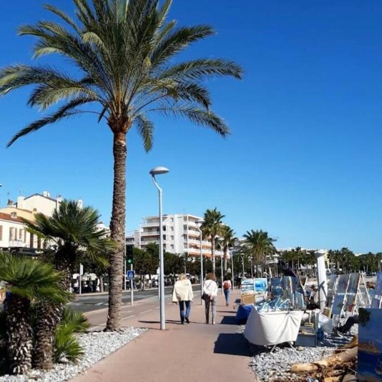 Studio cosy terrasse front mer - Appartement 1 Chambre - 13